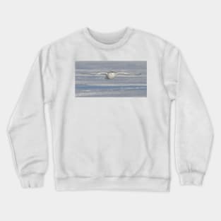 Snowy Owl Crewneck Sweatshirt